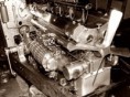 /album/autoveterani/a42-bug-04-jpg/